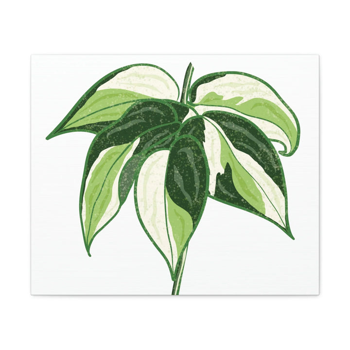 Philodendron Canvas Print - Cream Splash Variegated Plant Art on Matte Cotton Canvas