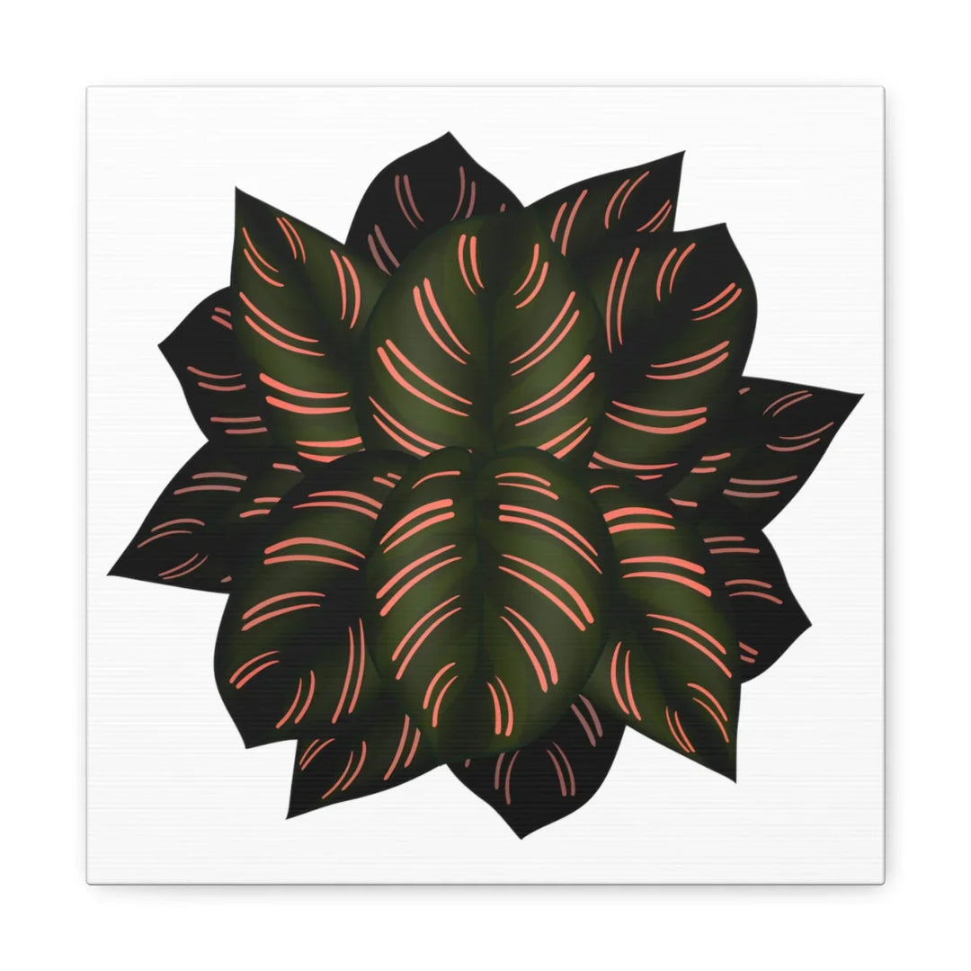 Calathea Pinstripe Canvas – Botanical Canvas Art Print | Matte Finish Wall Decor
