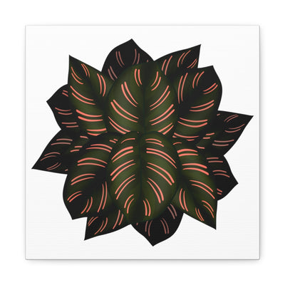 Calathea Pinstripe Canvas