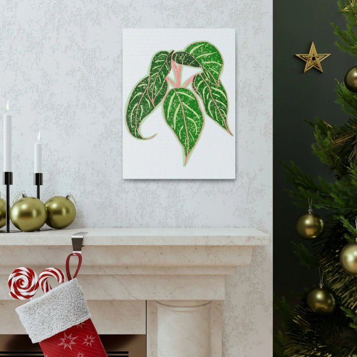 Aglaonema Plant Canvas | Sparkling Plant Artwork - Colorfast Canvas Art Print Decor