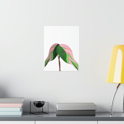 Pink Princess Philodendron Print