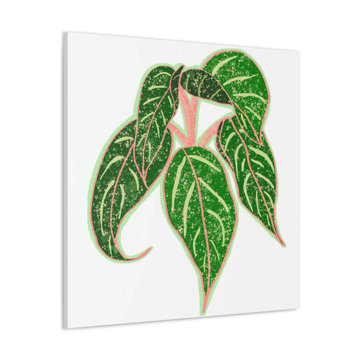 Aglaonema Plant Canvas | Sparkling Plant Artwork - Colorfast Canvas Art Print Decor