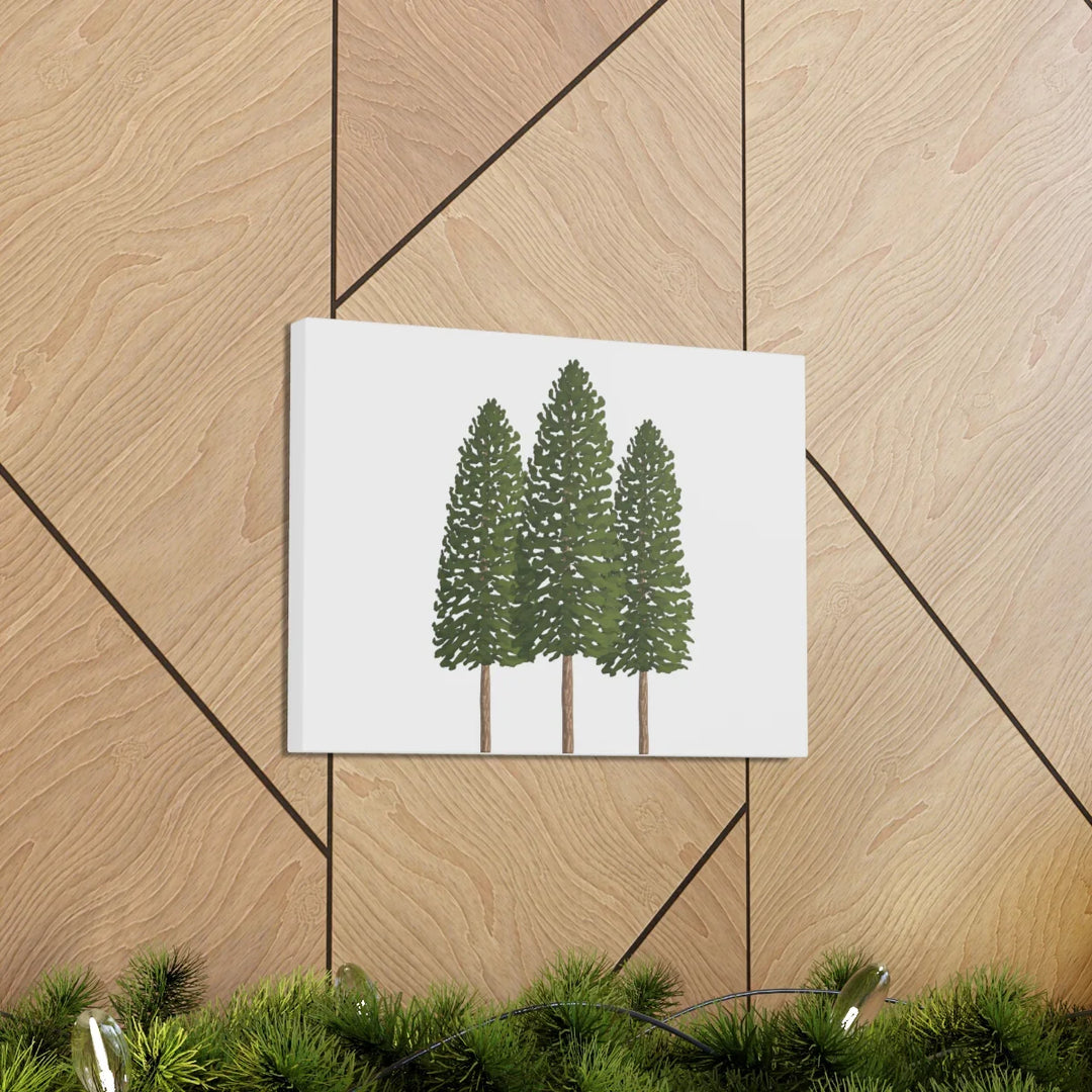 Ponderosa Pine Canvas - Large Stretched Cotton Canvas Art Print With Matte Finish