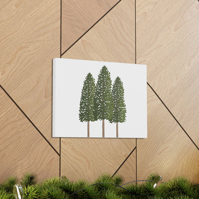 Ponderosa Pine Canvas