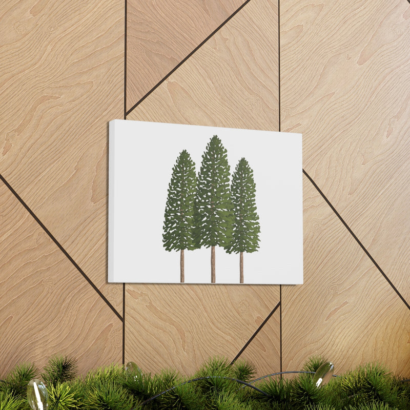 Ponderosa Pine Canvas