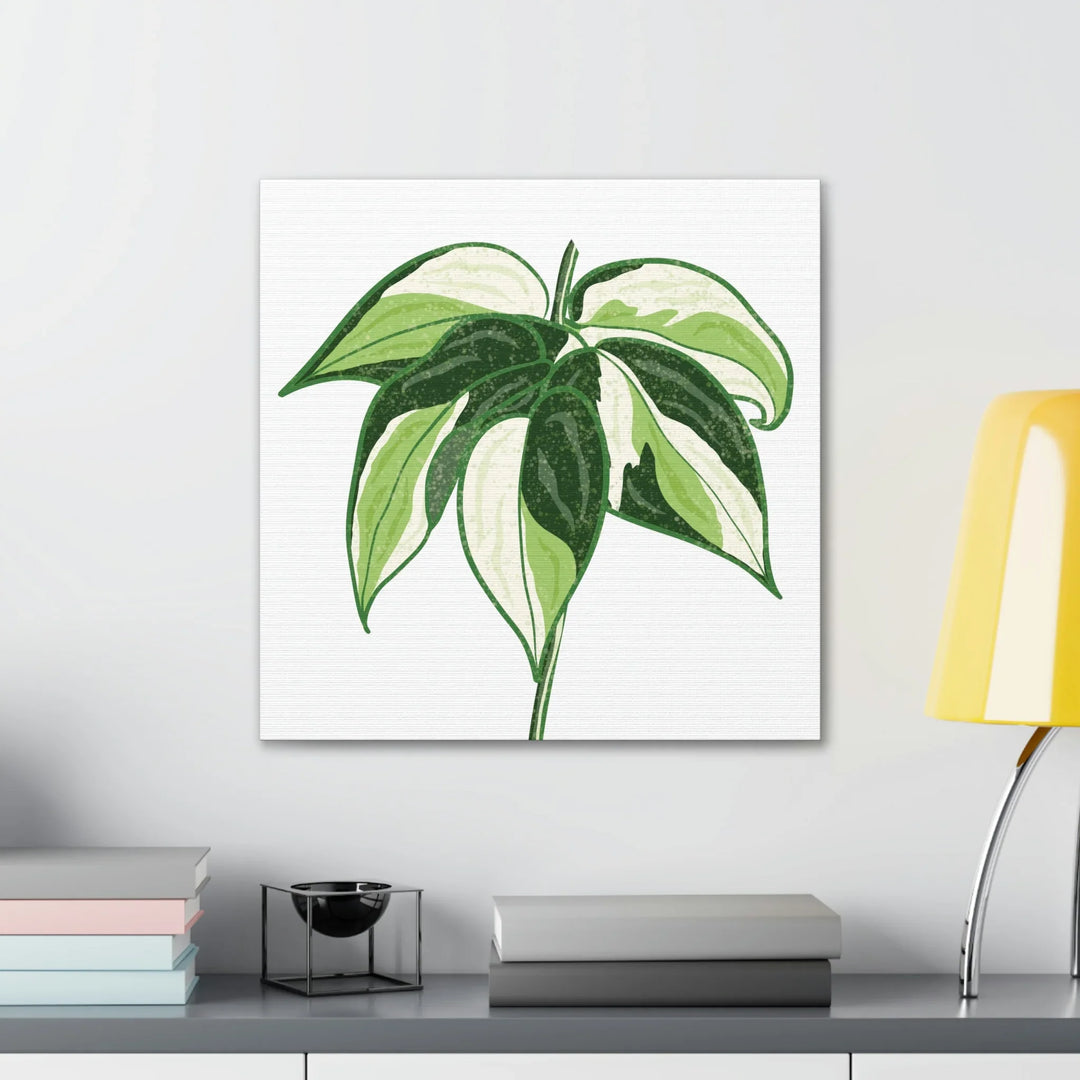 Philodendron Canvas Print - Cream Splash Variegated Plant Art on Matte Cotton Canvas
