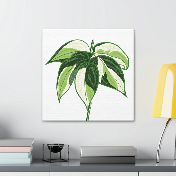 Philodendron Canvas Print - Cream Splash Variegated Plant Art on Matte Cotton Canvas