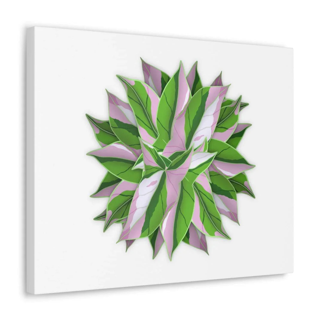 Tricolor Syngonium Canvas - Durable Canvas Art Print With Matte Finish & Botanical Design - Laura Christine Photography & Design