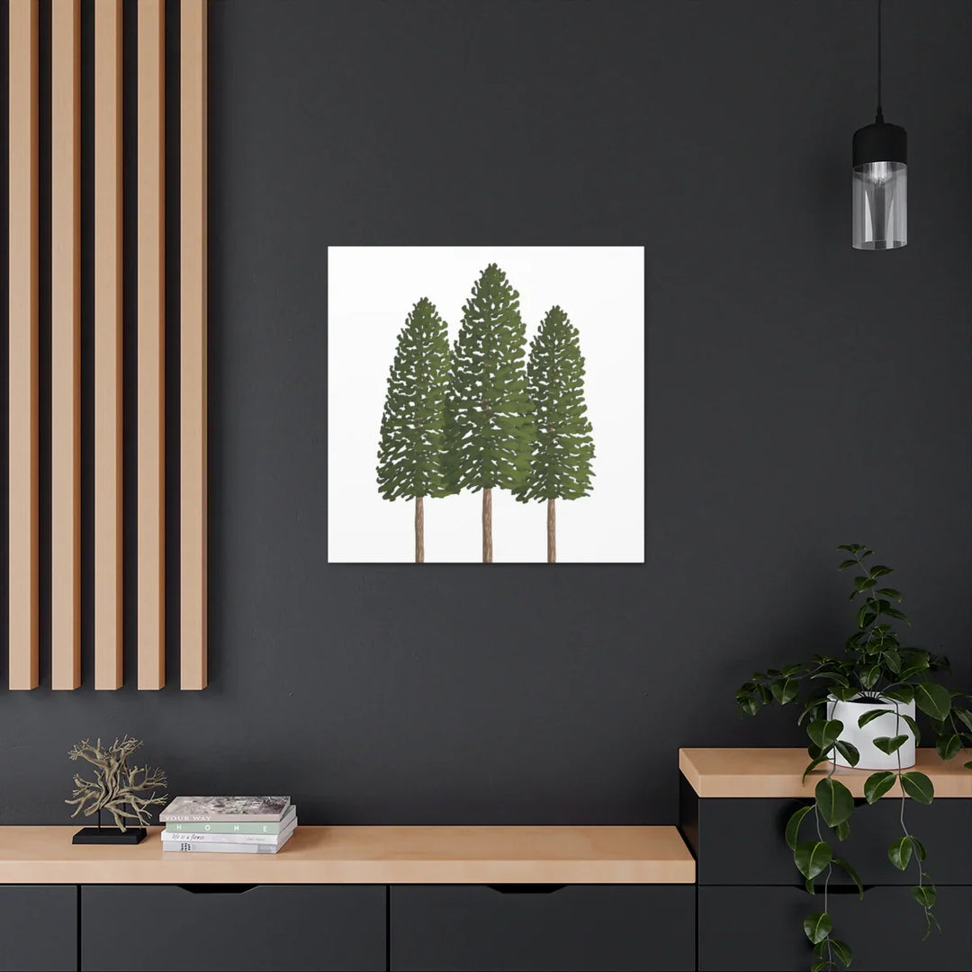 Ponderosa Pine Canvas - Large Stretched Cotton Canvas Art Print With Matte Finish