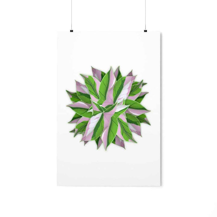 Tricolor Syngonium Print - Botanical Poster on Museum Grade Paper | Archival Ink Unframed