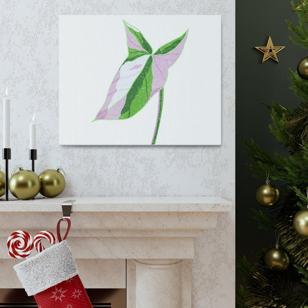 Syngonium Tricolor Canvas | Botanical Canvas Art Print With Matte Finish - Laura Christine Photography & Design