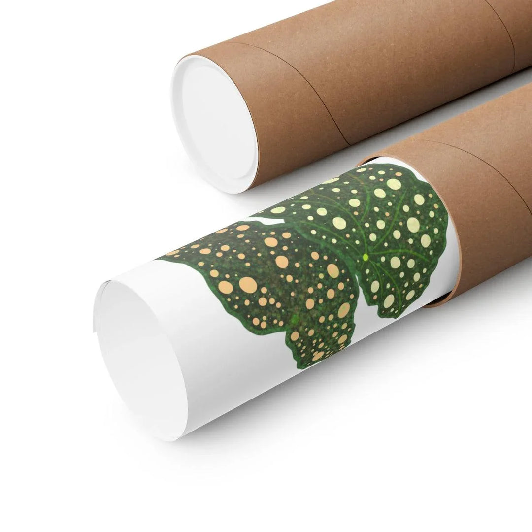 Begonia Maculata Print - Botanical Wall Art on Museum Grade Paper | Matte Finish Unframed - Laura Christine Photography & Design