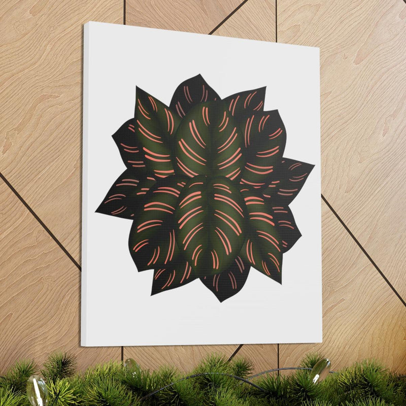 Calathea Pinstripe Canvas, Canvas, Laura Christine Photography & Design, Art & Wall Decor, Canvas, Hanging Hardware, Home & Living, Indoor, Laura Christine Photography & Design, laurachristinedesign.com