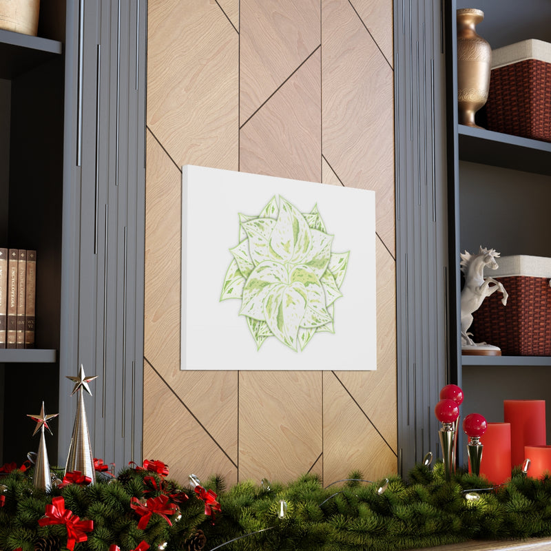 Snow Queen Pothos Canvas