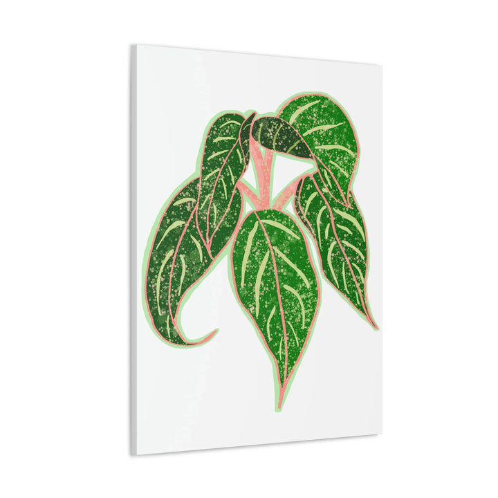 Aglaonema Plant Canvas | Sparkling Plant Artwork - Colorfast Canvas Art Print Decor