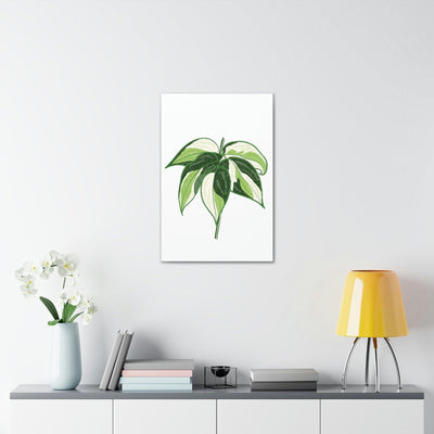 Philodendron 'Cream Splash' Canvas, Canvas, Printify, Art & Wall Decor, Canvas, Hanging Hardware, Home & Living, Indoor, Laura Christine Photography & Design, laurachristinedesign.com