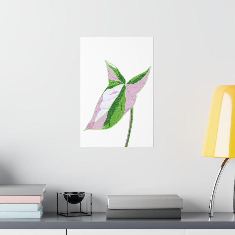 Syngonium Tricolor Print, Poster, Laura Christine Photography & Design, Back to School, Home & Living, Indoor, Matte, Paper, Posters, Valentine&