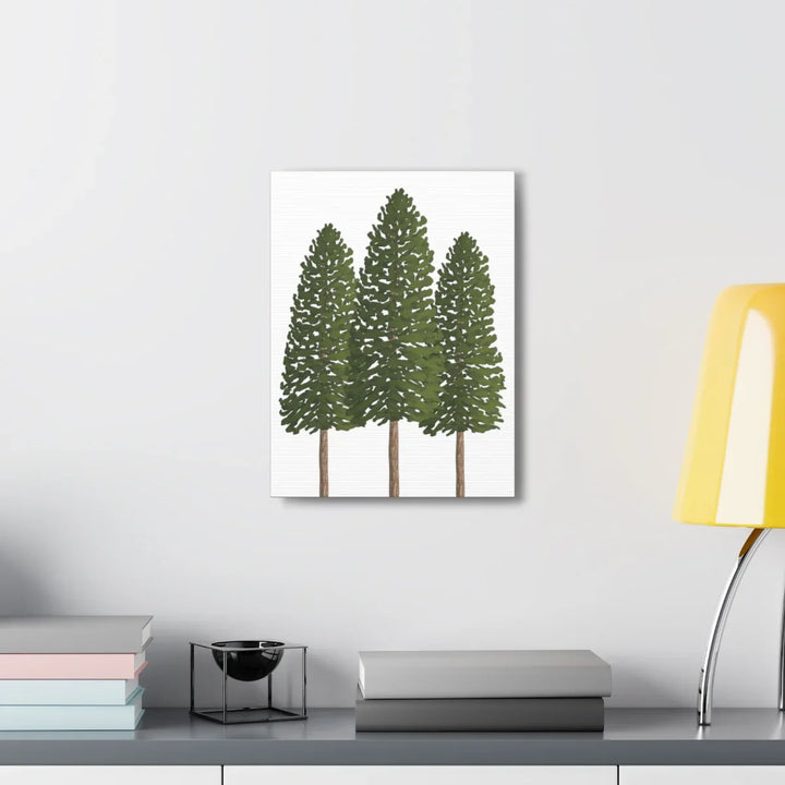 Ponderosa Pine Canvas - Large Stretched Cotton Canvas Art Print With Matte Finish