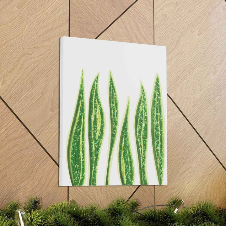 Snake Plant Canvas | Botanical Canvas Decor - Matte Finish Artwork for Living Room