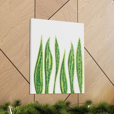 Snake Plant Canvas, Canvas, Laura Christine Photography & Design, Art & Wall Decor, Canvas, Hanging Hardware, Home & Living, Indoor, Laura Christine Photography & Design, laurachristinedesign.com