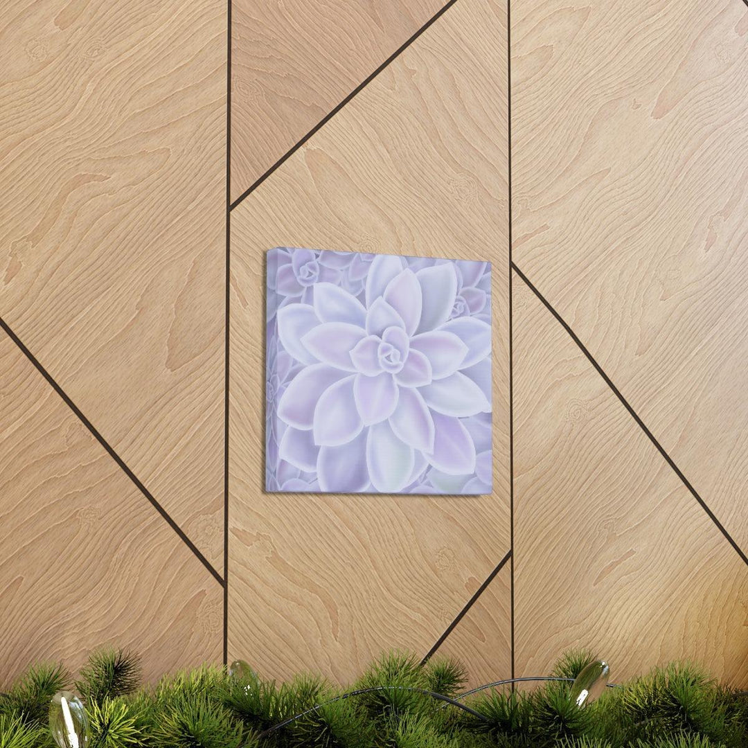 Graptopetalum 'Murasaki' Succulent Canvas, Canvas, Laura Christine Photography & Design, Art & Wall Decor, Canvas, Hanging Hardware, Home & Living, Indoor, Laura Christine Photography & Design, laurachristinedesign.com