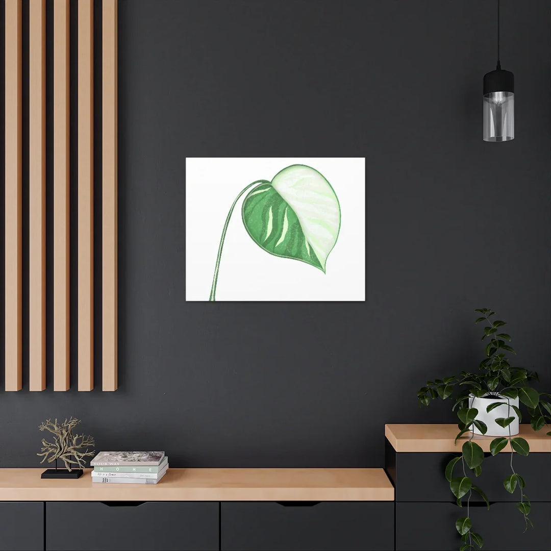 Monstera Albo Canvas | Large Tropical Leaf Artwork - Matte Finish Canvas Art Print - Laura Christine Photography & Design