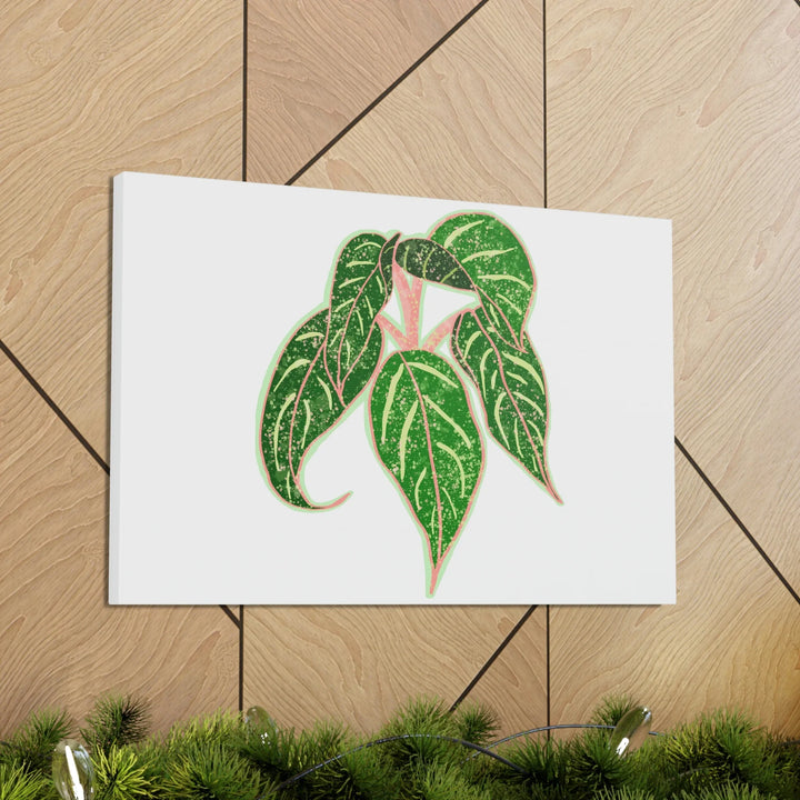 Aglaonema Plant Canvas | Sparkling Plant Artwork - Colorfast Canvas Art Print Decor
