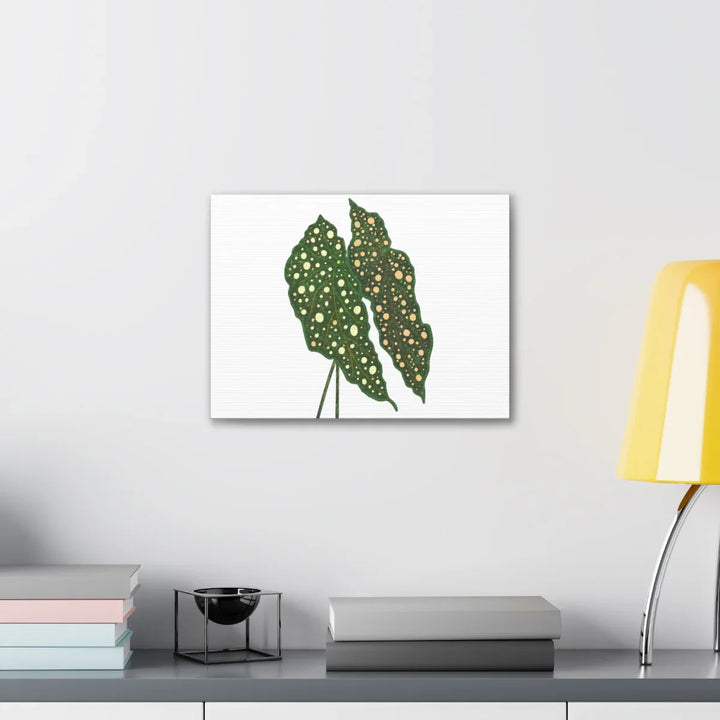 Begonia Maculata Canvas | Premium Canvas Art Print - Matte Finish, Durable Wall Decor - Laura Christine Photography & Design