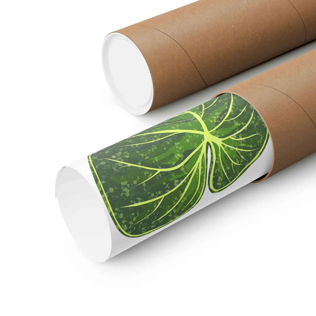 Philodendron Gloriosum Print Botanical Wall Art – Tropical Leaf Poster on Museum-Grade Paper Unframed