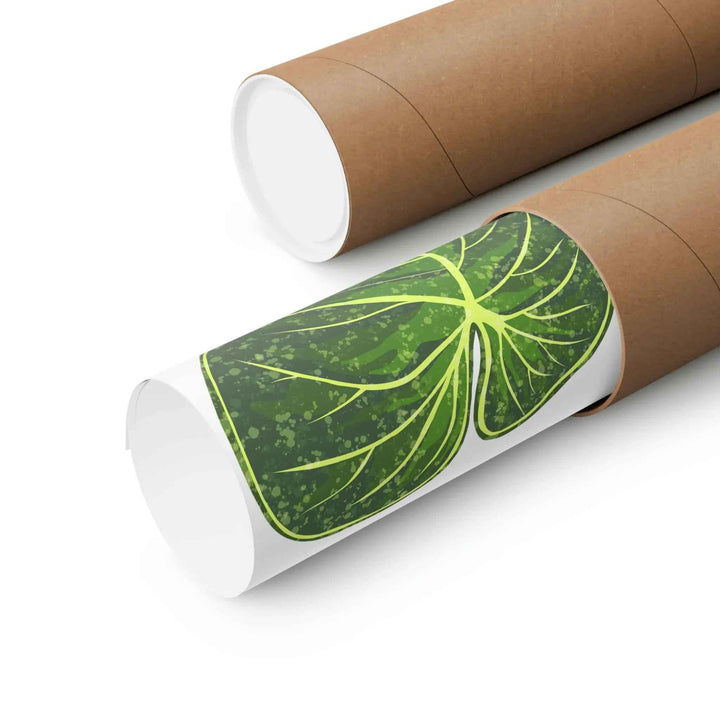 Philodendron Gloriosum Print Botanical Wall Art – Tropical Leaf Poster on Museum-Grade Paper Unframed