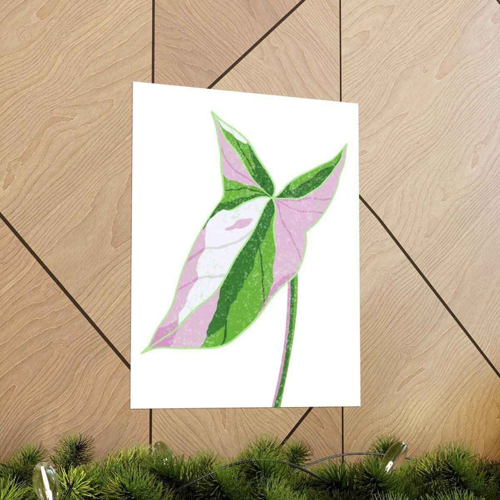 Syngonium Tricolor Print – Botanical Wall Art | Variegated Leaf Poster Unframed