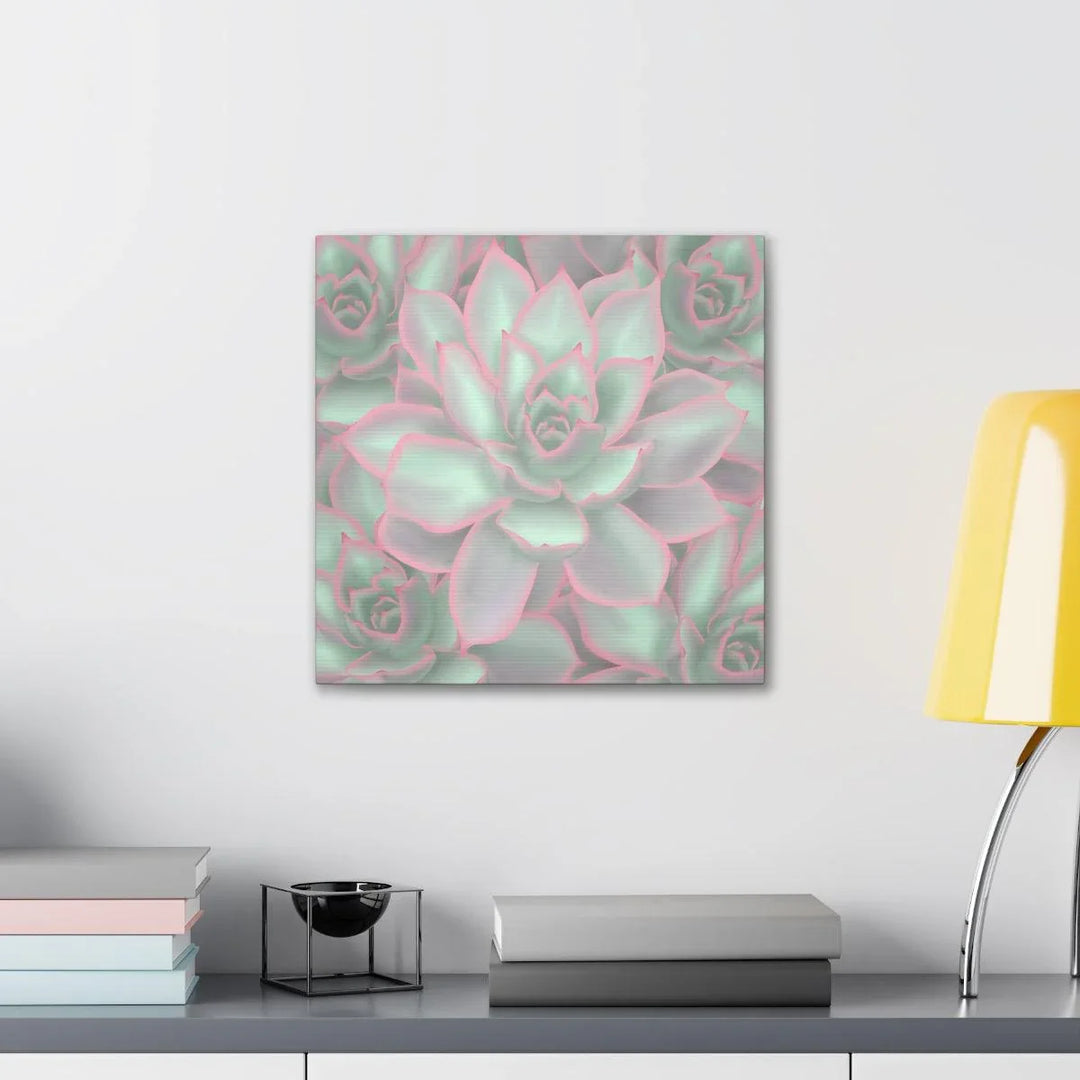 Echeveria Violet Queen Succulent Canvas, Canvas, Laura Christine Photography & Design, Art & Wall Decor, Canvas, Hanging Hardware, Home & Living, Indoor, Laura Christine Photography & Design, laurachristinedesign.com