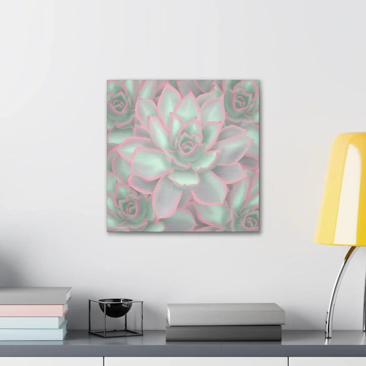 Echeveria Violet Queen Succulent Canvas, Canvas, Laura Christine Photography & Design, Art & Wall Decor, Canvas, Hanging Hardware, Home & Living, Indoor, Laura Christine Photography & Design, laurachristinedesign.com