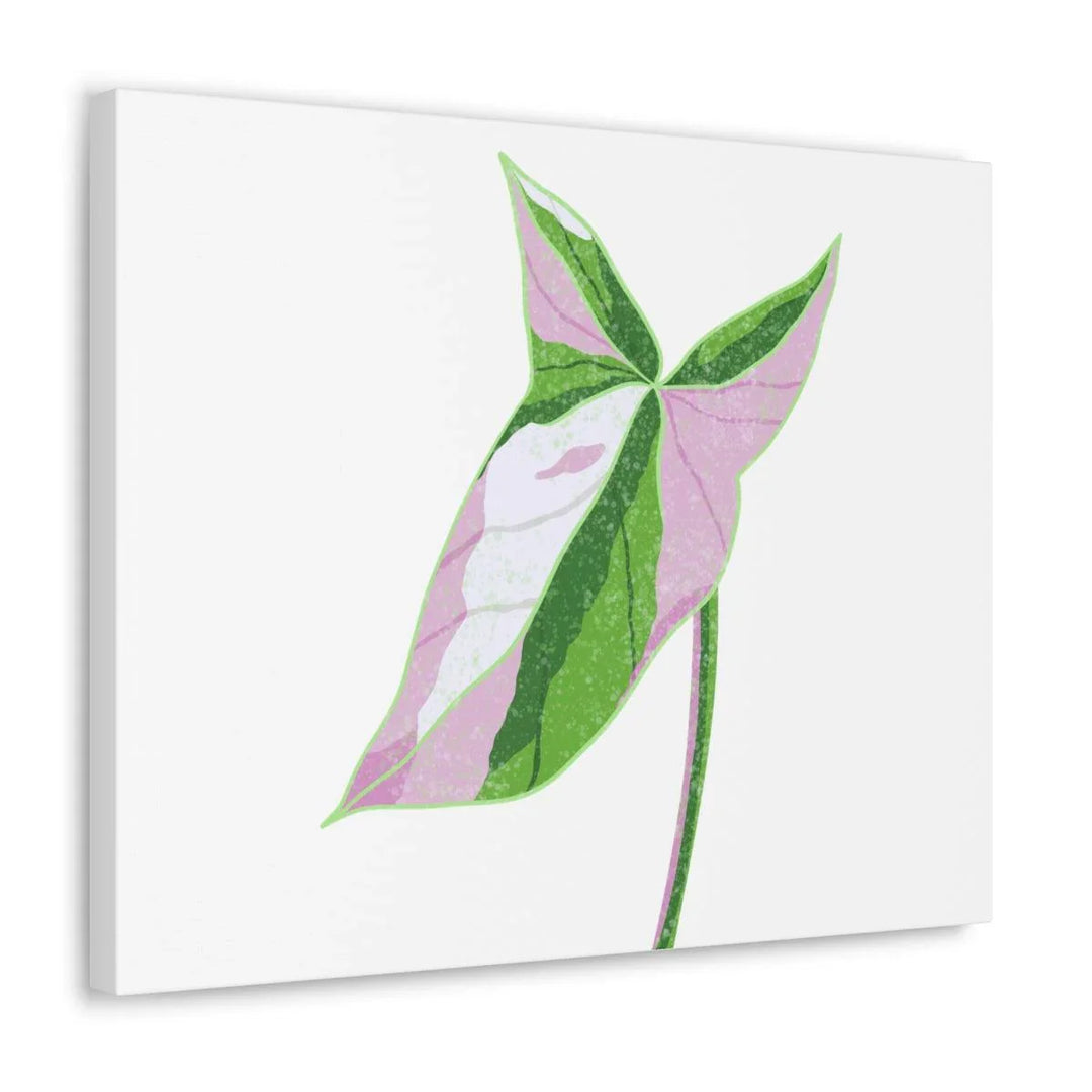 Syngonium Tricolor Canvas | Botanical Canvas Art Print With Matte Finish - Laura Christine Photography & Design