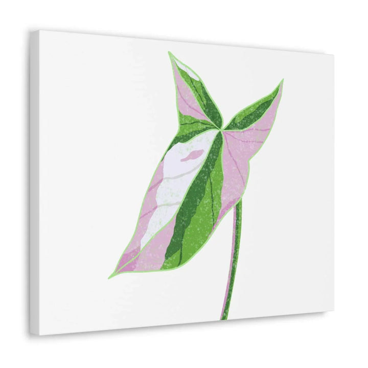 Syngonium Tricolor Canvas | Botanical Canvas Art Print With Matte Finish - Laura Christine Photography & Design