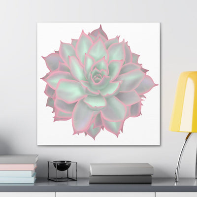 Echeveria Violet Queen Succulent Canvas, Canvas, Laura Christine Photography & Design, Art & Wall Decor, Canvas, Hanging Hardware, Home & Living, Indoor, Laura Christine Photography & Design, laurachristinedesign.com