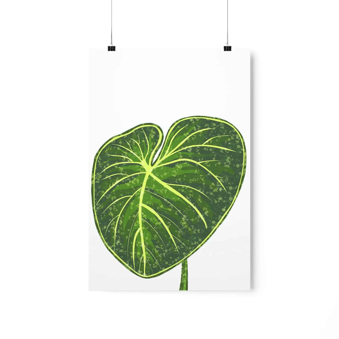 Philodendron Gloriosum Print Botanical Wall Art – Tropical Leaf Poster on Museum-Grade Paper Unframed