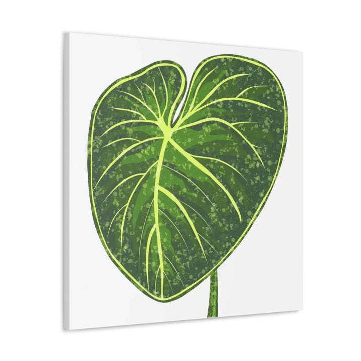 Philodendron Gloriosum Canvas - Stretched Canvas Art Print | Matte Indoor Wall Art - Laura Christine Photography & Design