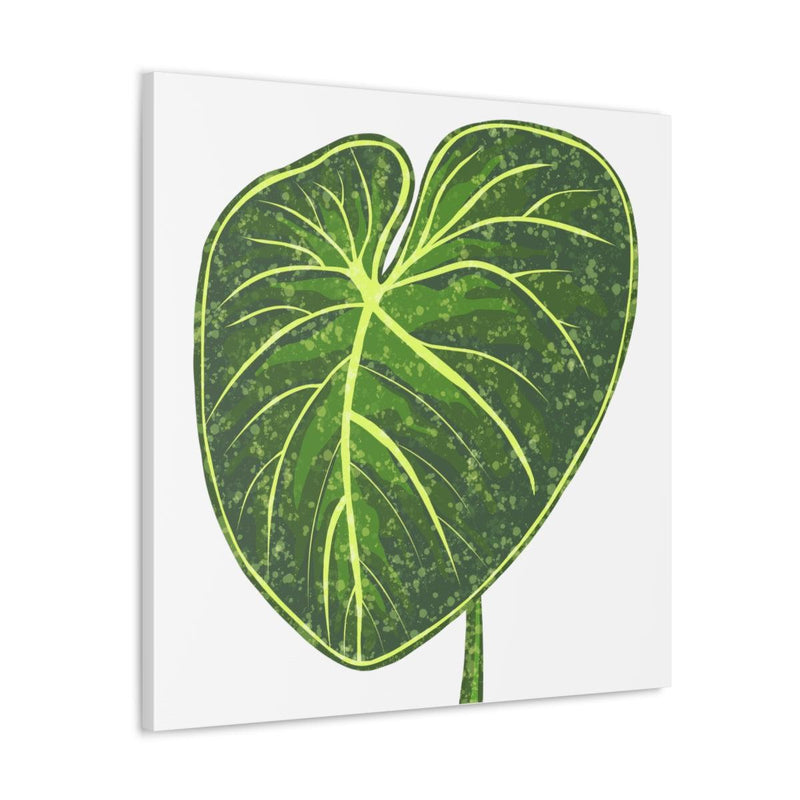 Philodendron Gloriosum Canvas, Canvas, Laura Christine Photography & Design, Art & Wall Decor, Canvas, Hanging Hardware, Home & Living, Indoor, Laura Christine Photography & Design, 