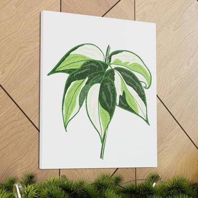 Philodendron 'Cream Splash' Canvas, Canvas, Printify, Art & Wall Decor, Canvas, Hanging Hardware, Home & Living, Indoor, Laura Christine Photography & Design, laurachristinedesign.com