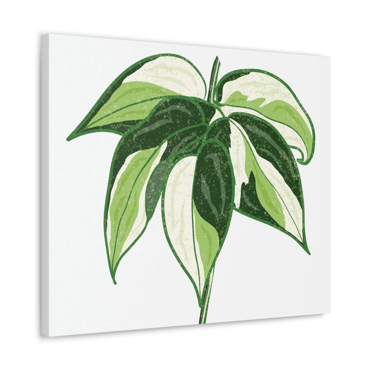 Philodendron Canvas Print - Cream Splash Variegated Plant Art on Matte Cotton Canvas