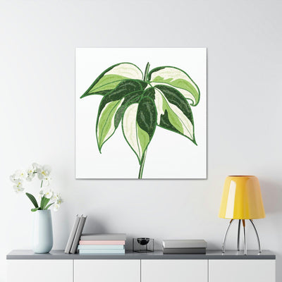 Philodendron 'Cream Splash' Canvas, Canvas, Printify, Art & Wall Decor, Canvas, Hanging Hardware, Home & Living, Indoor, Laura Christine Photography & Design, laurachristinedesign.com