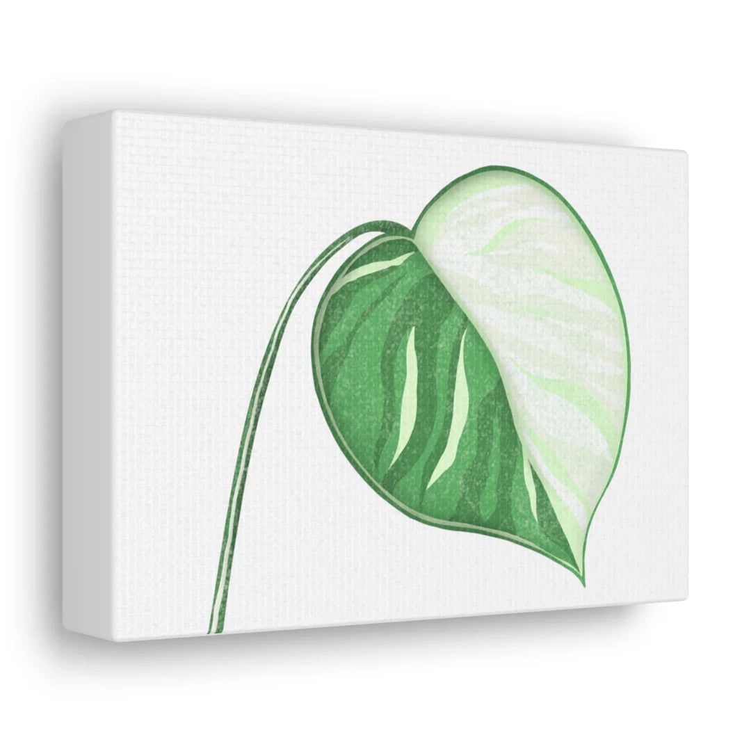 Monstera Albo Canvas | Large Tropical Leaf Artwork - Matte Finish Canvas Art Print - Laura Christine Photography & Design