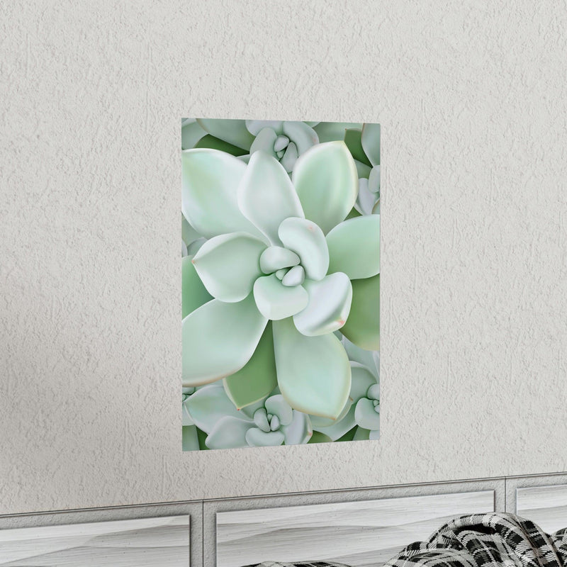 Pachyveria Haagei Succulent Pattern Print, Poster, Printify, Back to School, Home & Living, Indoor, Matte, Paper, Posters, Valentine&