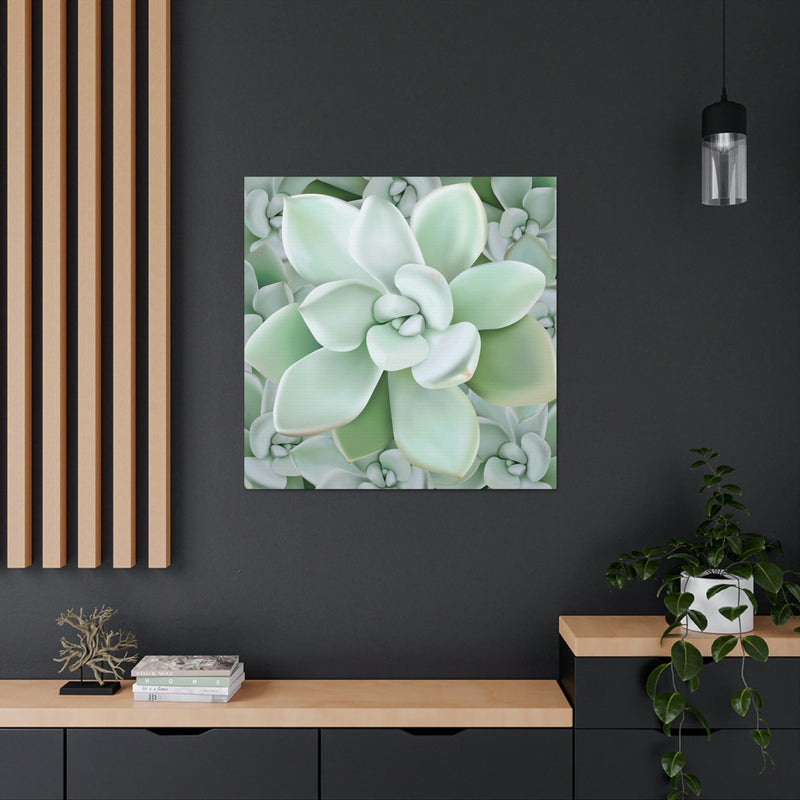 Pachyveria Haagei Succulent Pattern Canvas, Canvas, Printify, Art & Wall Decor, Canvas, Hanging Hardware, Home & Living, Indoor, Laura Christine Photography & Design, laurachristinedesign.com