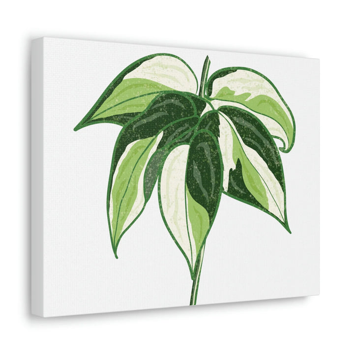 Philodendron Canvas Print - Cream Splash Variegated Plant Art on Matte Cotton Canvas