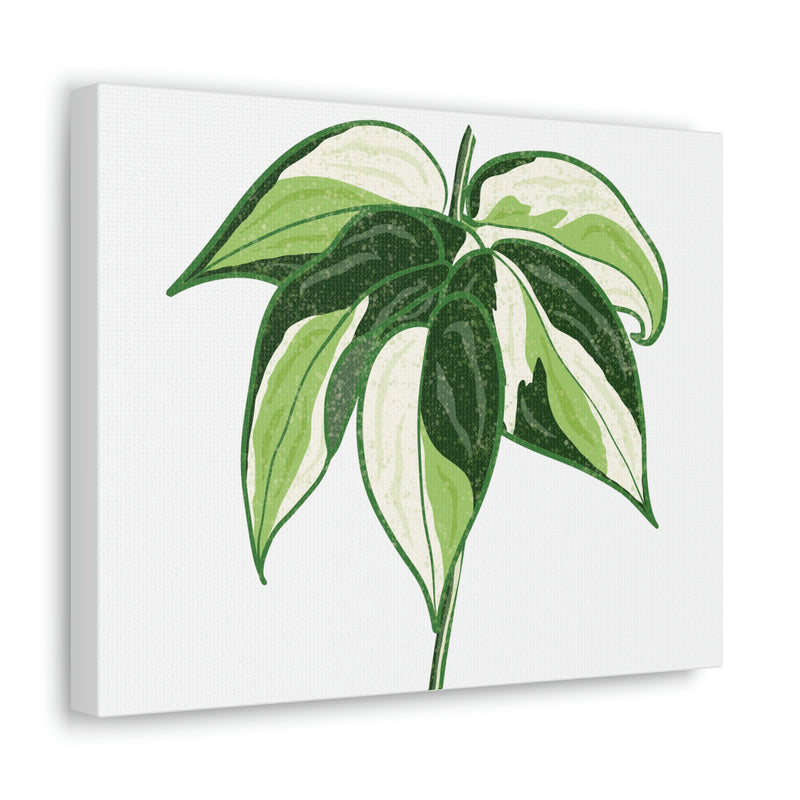 Lienzo Philodendron &