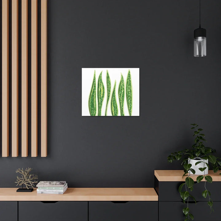 Snake Plant Canvas | Botanical Canvas Decor - Matte Finish Artwork for Living Room - Laura Christine Photography & Design