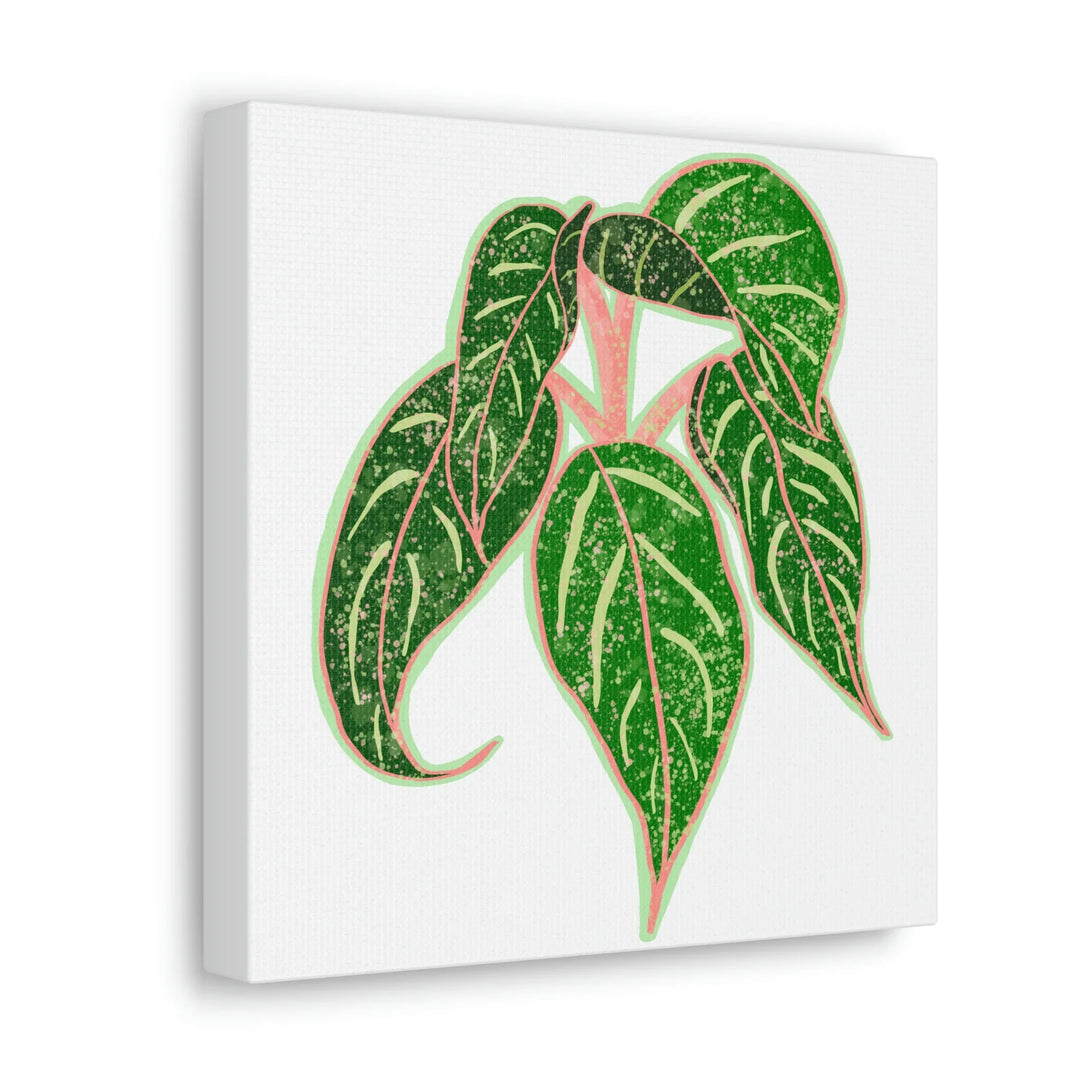 Aglaonema Plant Canvas | Sparkling Plant Artwork - Colorfast Canvas Art Print Decor