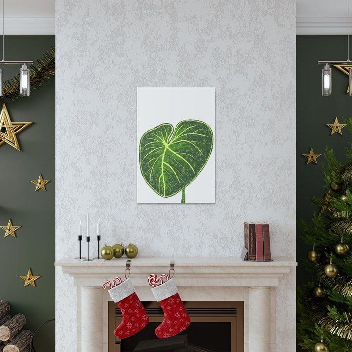 Philodendron Gloriosum Canvas - Stretched Canvas Art Print | Matte Indoor Wall Art - Laura Christine Photography & Design
